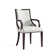 Elianys 18.5'' H Upholstered Beech Armchair