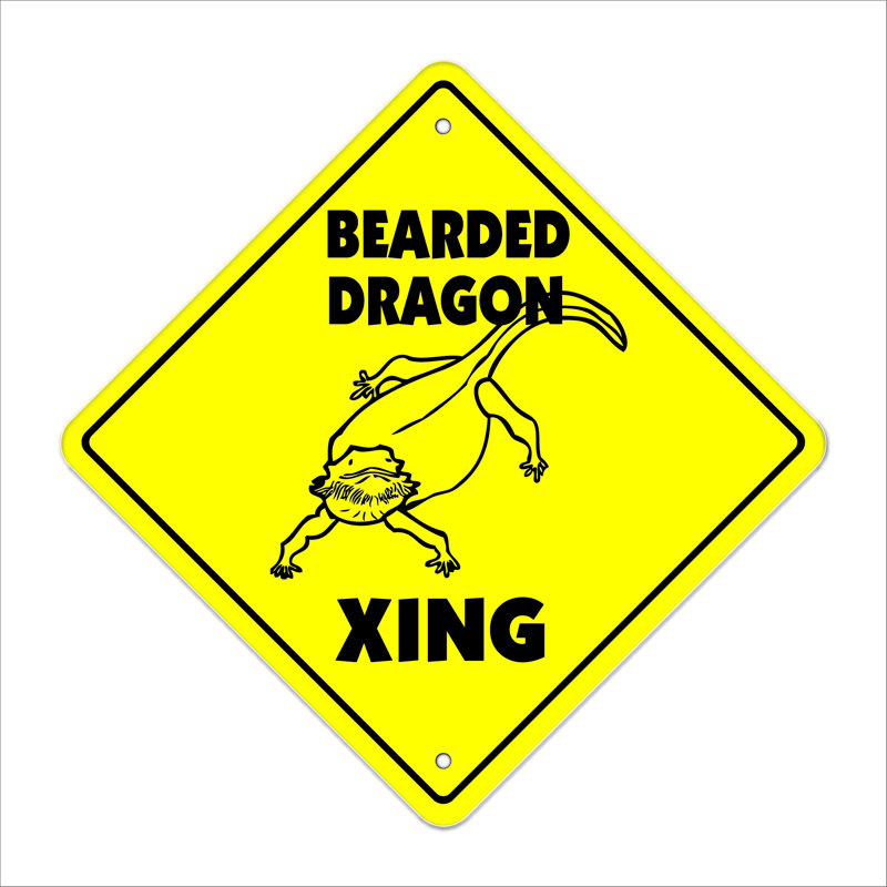 Enseigne traversant dragon barqué