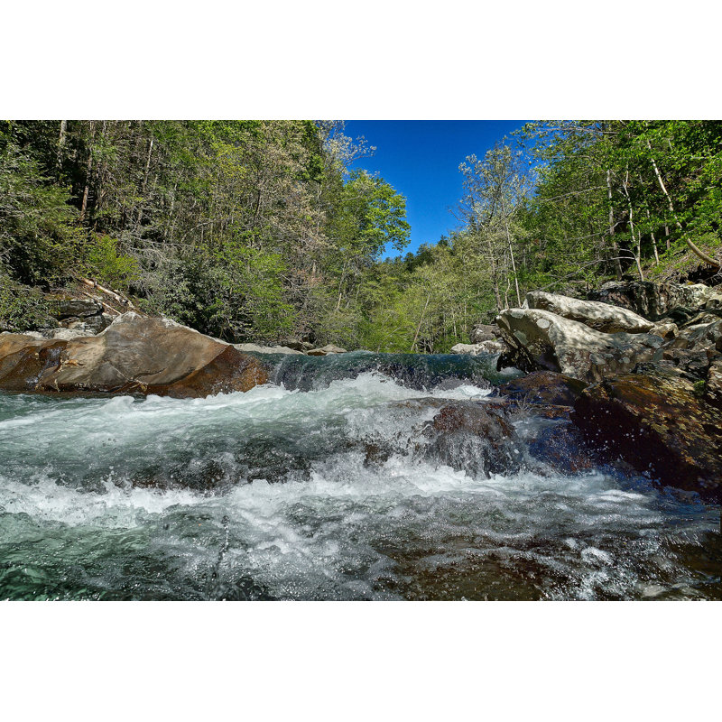 Waterfall and Pinetrees par Donnaherrmann - Photographie sur toile tendue, H 8 po x l 12 po