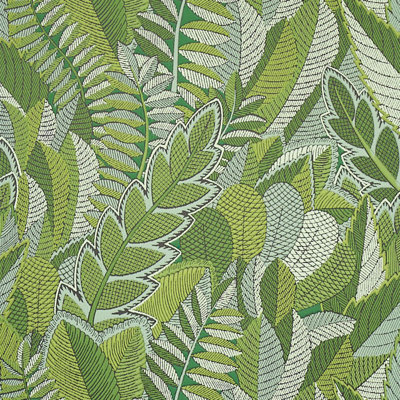 Japura Forest Wallpaper