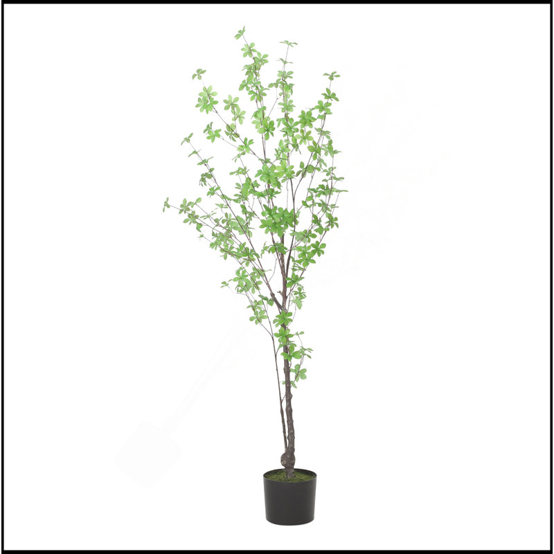 150CM ARTIFICIAL DISC LEAF TREE, 59.1" H x 31.5" W x31.5" D