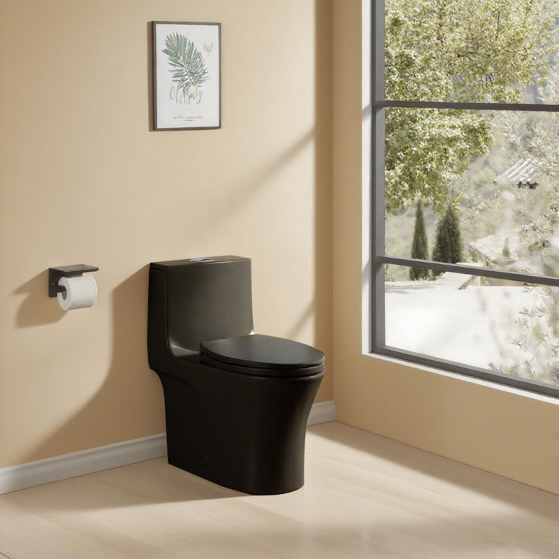 Toilette en céramique noire mate économe en eau pour les salles de bain modernes