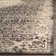Tuthill Performance Floral Rug