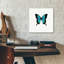 «Blue Butterfly» par PhotoINC Studio-1377104539