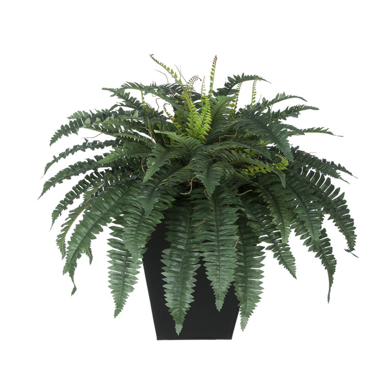 Plantes artificielles 12" en pot de fleurs, Noir
