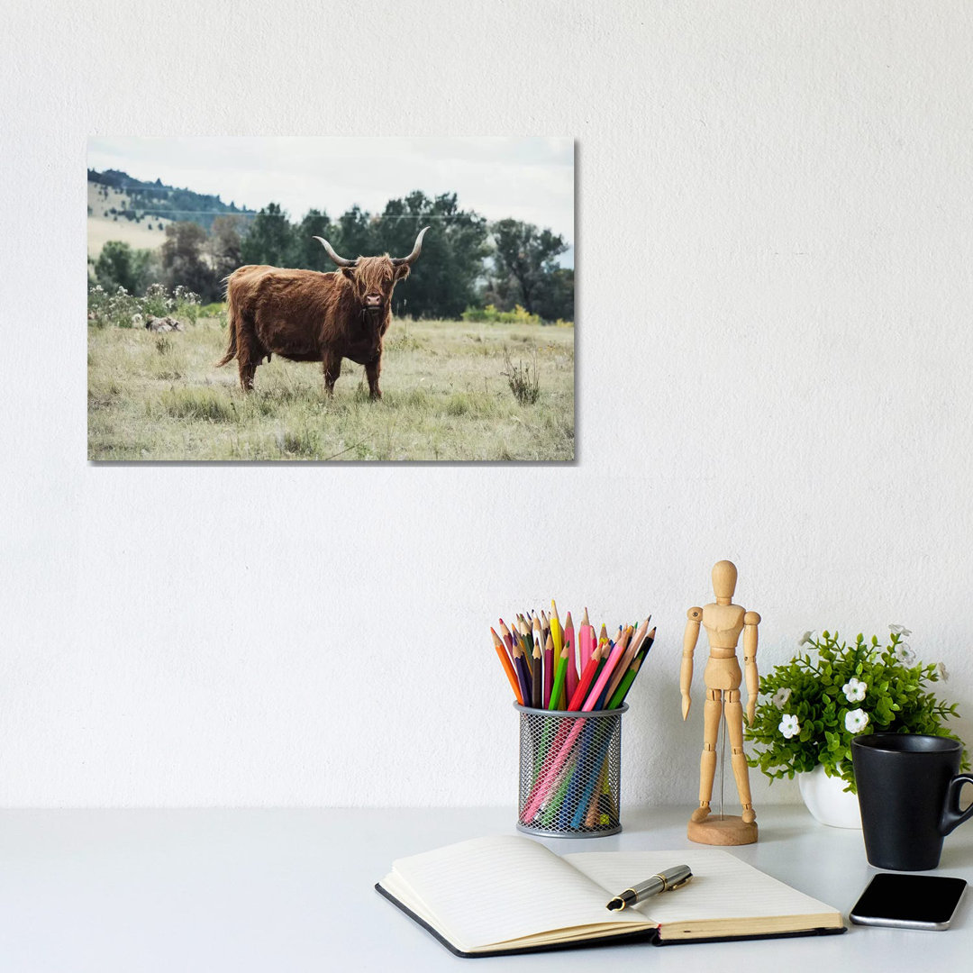 Highlander Cow - Wrapped Canvas Print