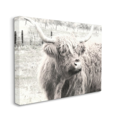 «Rustic Farm Highland Clever Cow», photographie monochrome par Graffitee Studios - reproduction d'art sur toile tendue
