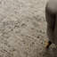 Beimnet Machine Woven Beige/Grey Indoor Rug-563954350