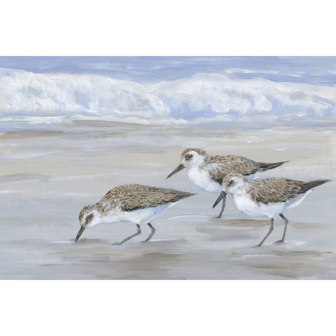 Leinwandbild Sandpipers II