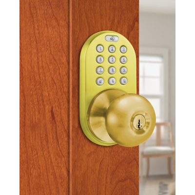 Electronic Door Knob