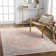 Jazive Oriental Indoor Rug