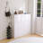 Charming Shoe Storage Cabinet With Customizable Compartments And Fine Craftsmanship