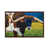Classic Wood Floater Framed is unavailable
