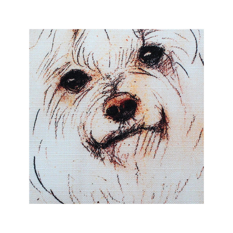  Coussin intérieur / extérieur Maltese Dog