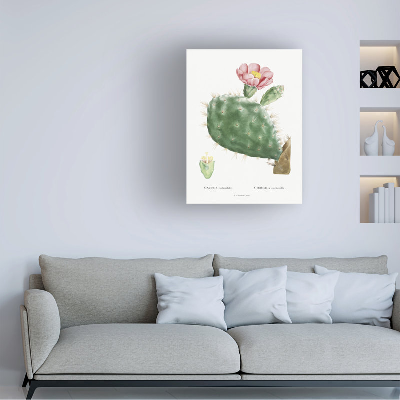 «Redoute Cactus III» sur, H 19 po x l 14 po