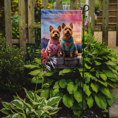 Double Sided 15.5'' H x 11.25'' W Polyester Valentine's Day Garden Flag