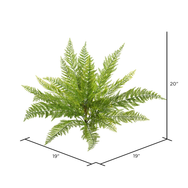 Buisson de fougère en dentelle artificielle, H 20 po x l 19 po x P 19 po