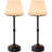 Cordless Dimmable LED Table Lamps With Rechargeable Battery - Set Of 2, Wood Base, 3 Brightness Levels