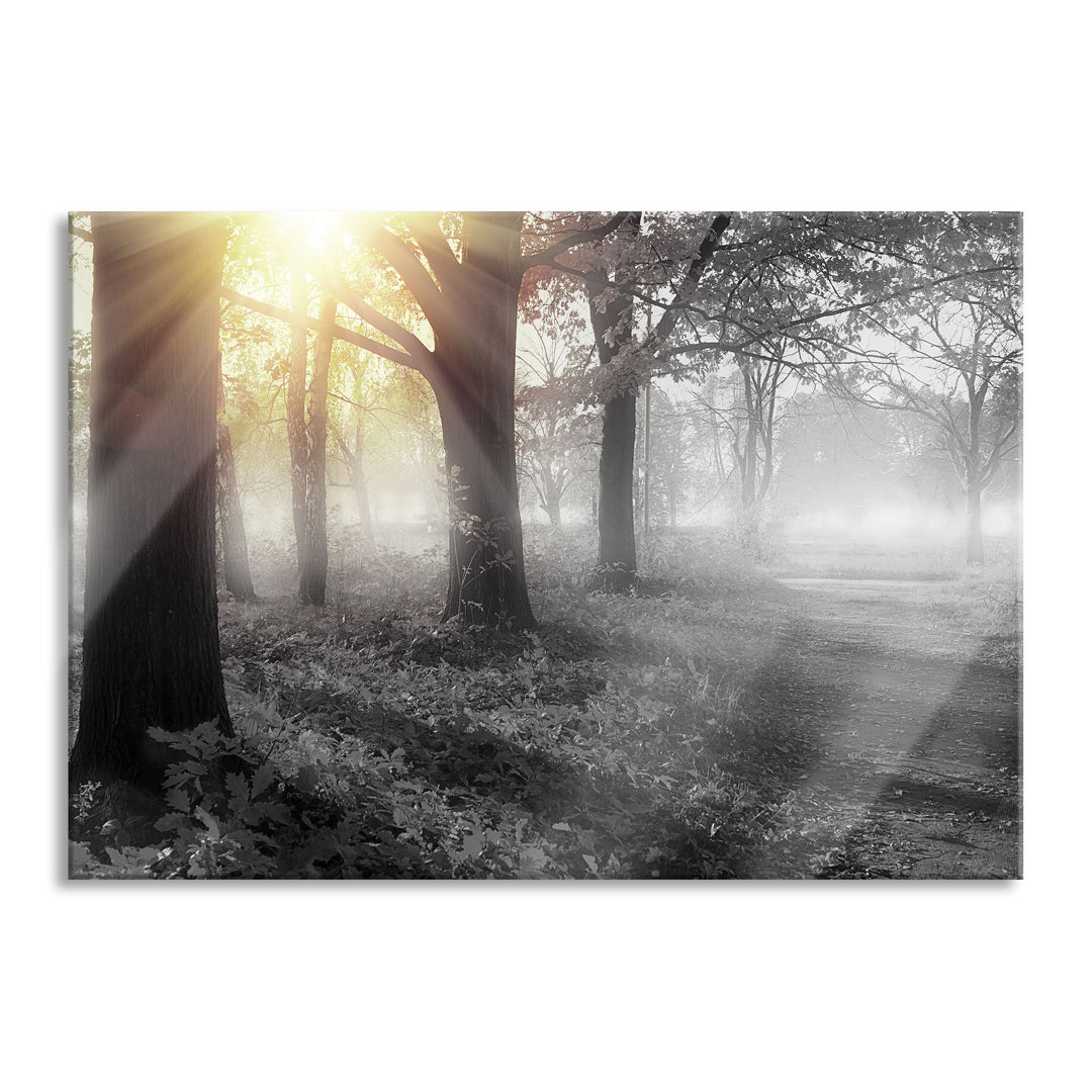 Leinwandbild Sonnenstrahlen durch rote Herbstbäume