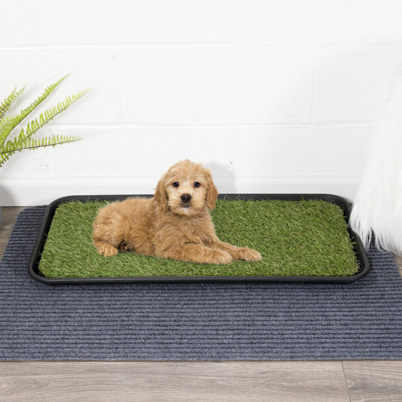 Pet Training Non-Slip Indoor/Outdoor Tray with Reusable Grass Pad
