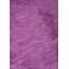 Rapture Area Rug-1787814122