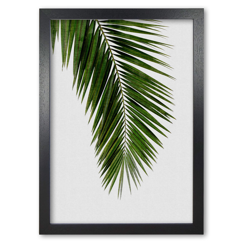 Palm Leaf I - Print, 30 cm H x 21 cm W x 5 cm D, Black Grain Frame