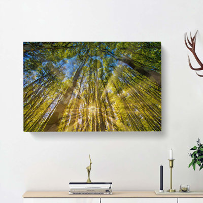 Sunrays Through The Forest In Abstract - Wrapped Canvas Print