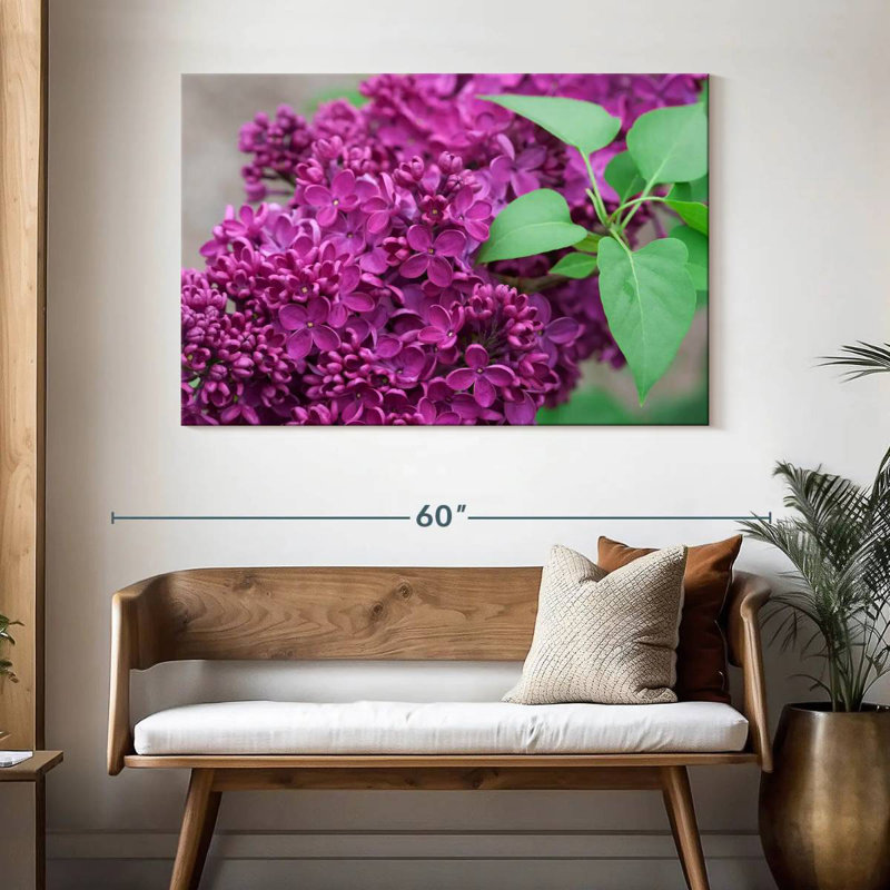 Lilas Harnek Spring