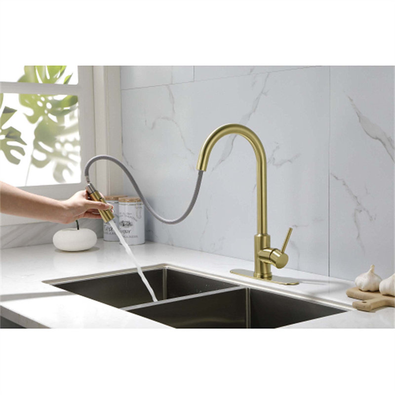 Robinet de cuisine rétractable à poignée simple avec accessoires