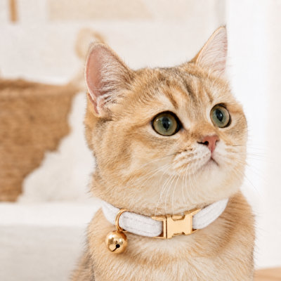 Soft Velvet Breakaway Cat Collar with Bell & Gold Hardware – Adjustable Pet Collar with Safety Buckle & D-Ring, for Kittens, Cats & Small Dogs (6.3–12.6", 4 Colors)