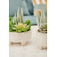 24cm Faux Succulent in Ceramic Pot