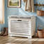6 Pair Shoe Storage Bench