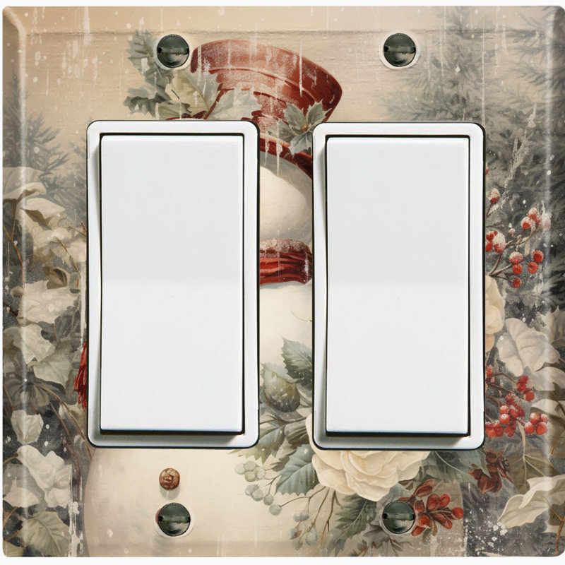 2 - Gang Toggle Light Switch Standard Wall Plate