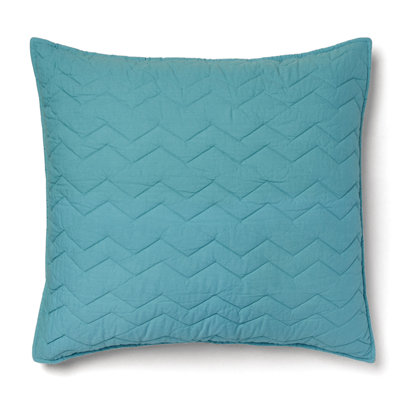 Chevron Sham