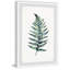 Edite Fern, reproduction encadrée-311273763