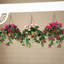 Panier fuchsia OakRidge entièrement assemblé-913697349