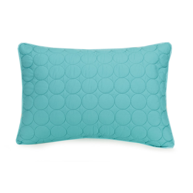 Aqua Blue Twin Reversible Microfiber Kids Quilt Set