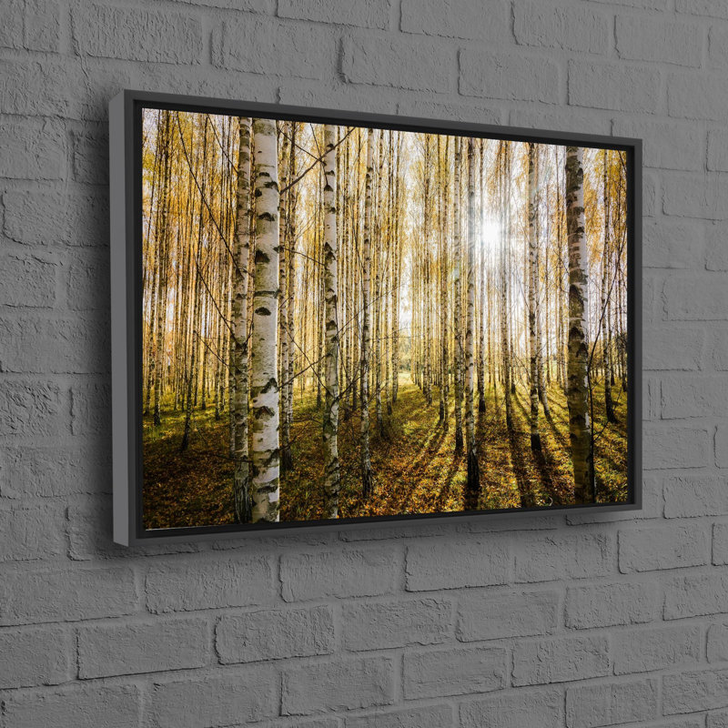 Print on Canvas, 25 cm H x 35 cm W, Black Floater Framed