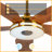 Ahriya 5 - Blade LED Smart Standard Ceiling Fan with Remote Control and Light Kit Included-487785548-403971659