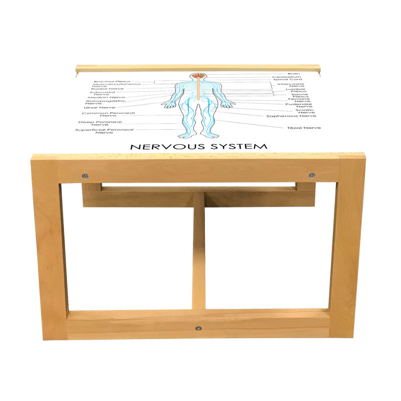 Jacaryous Trestle Coffee Table, 40cm H x 46.5cm W x 62cm D