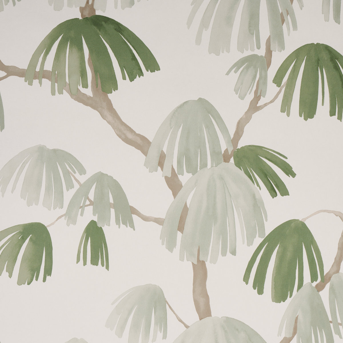 Schumacher x David Kaihoi Wallpaper Roll, Gray/Green