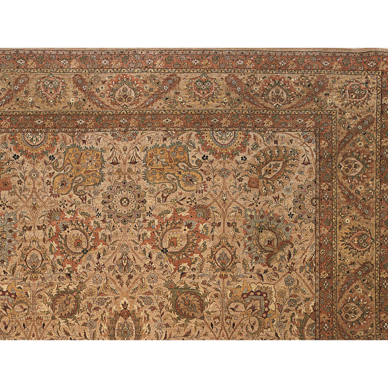 Wool Oriental Area Rug in Gold