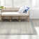 Kaylee Flatweave Wool Indoor Rug