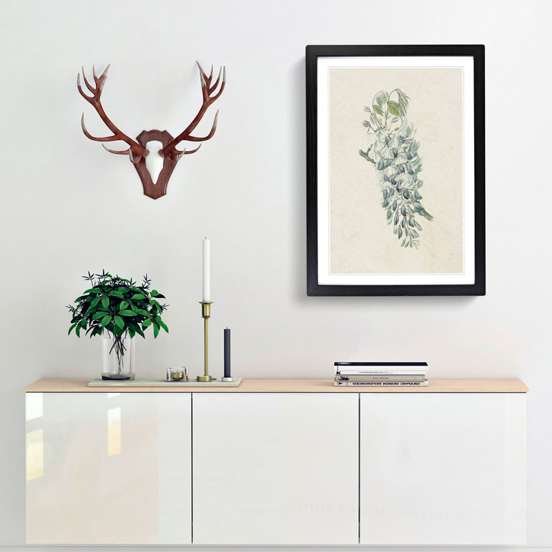 Illustration of Chinese Wisteria Flowers - Framed Print, 48cm H x 36cm W x 2cm D, Black Framed