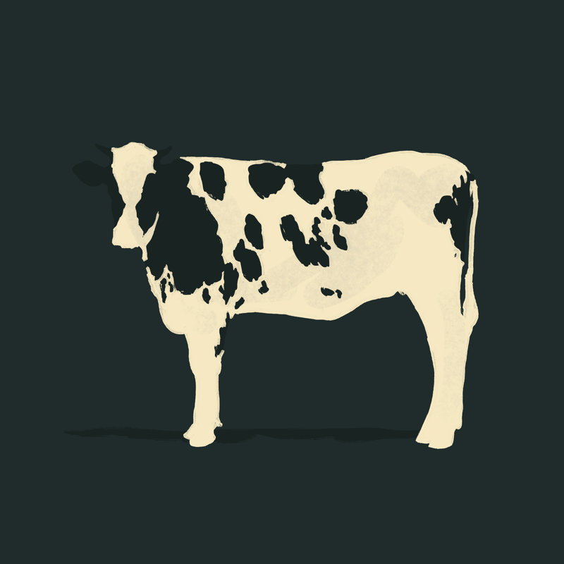 Refined Holstein IV by Jacob Green - Wrapped Canvas Painting, 51cm H x 51cm W