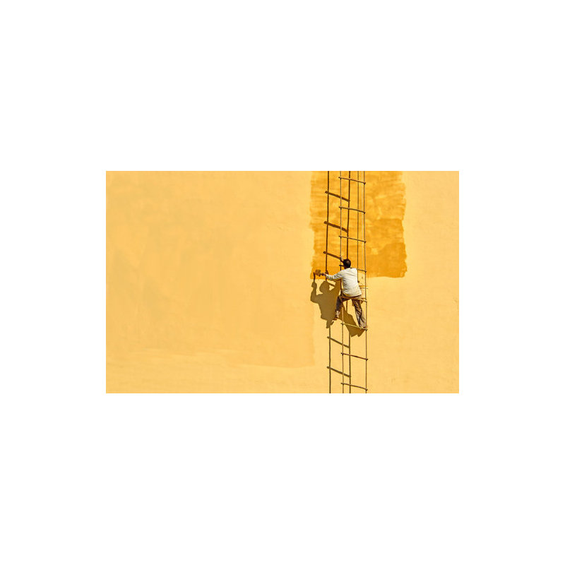 The Painter Canvas Print, 50.8 cm H x 76.2 cm W