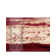 Britannia Oriental Indoor Rug