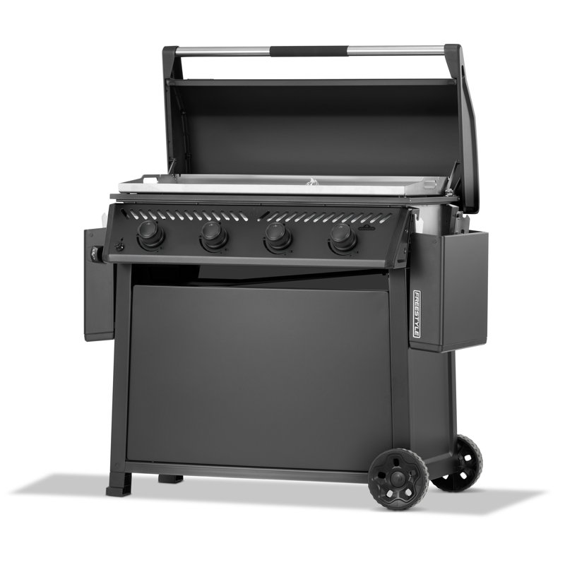 Plaque de cuisson en acier inoxydable antirouille de 36 po Freestyle, plaque chauffante au propane, Propane