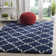 Atencio Geometric Area Rug
