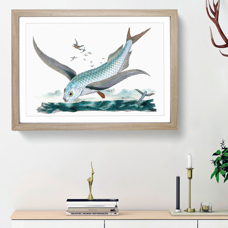Flying-Fish by Edward Donovan - Framed Print, 36cm H x 48cm W x 2cm D, Oak Framed